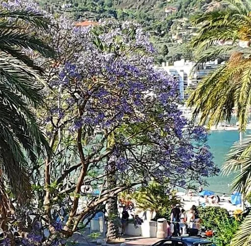 La Piazzetta, Vue Mer Appartement